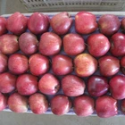 Huniu apple fresh for sale in apple varieties