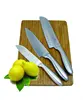 /product-detail/wholesale-kitchen-utensils-5pcs-kitchen-knife-set-491033807.html