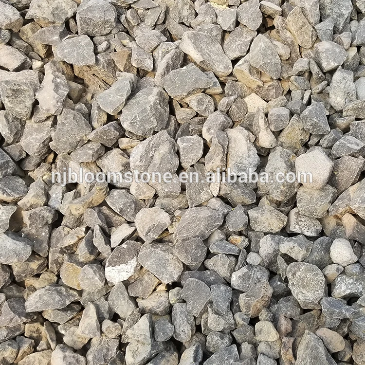 photobank (10).jpg
