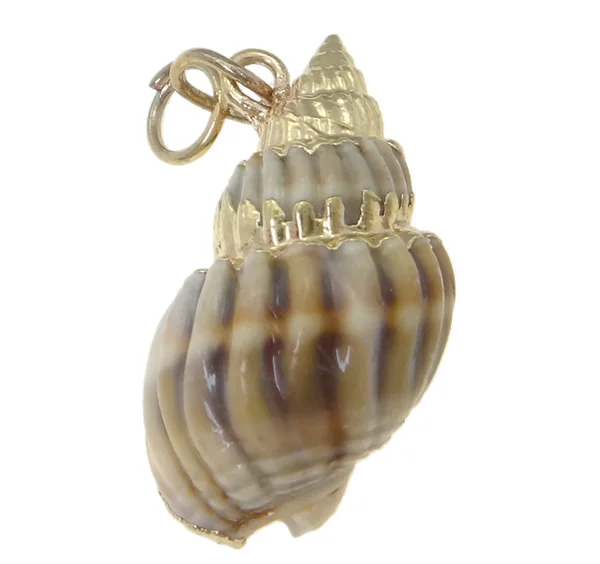Free shipping!!!Natural Trumpet Shell Pendants,Designs, with Brass, gold color plated, 16x27x15mm, Hole:Approx 2mm, 100PCs/Bag