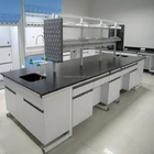 Laboratory Furniture/Lab Work Bench/Lab Bench Price