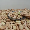 high quality dry Broad Bean fava bean faba bean