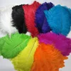 TN-01 55-60cm Cheap White and Colors Artificial Natural Female Ostrich Feather