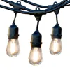 48FT Commercial WaterProof Led String Light for outdoor decor