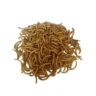 Penguin Food Bird Food Live Yellow Mealworm For Raw Material Seeds