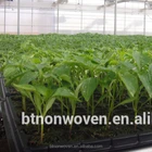 Good quality plastic 105 holes sprout tray, nursery seedling tray for seedling