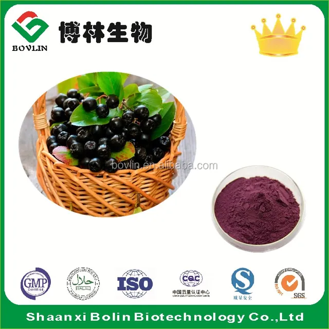 natural chokeberry powder