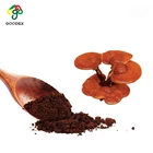 Manufacture supply Reishi mushroom coffee & Organic reishi extract & reishi mantar tohumu