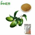 Rich stock 6% Oleuropein Olive leaf extract powder Olive Leaf Extract