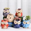 Factory Direct Sales Ceramic Mini Owl Succulent Pots Cute Animal Small Plant Planters