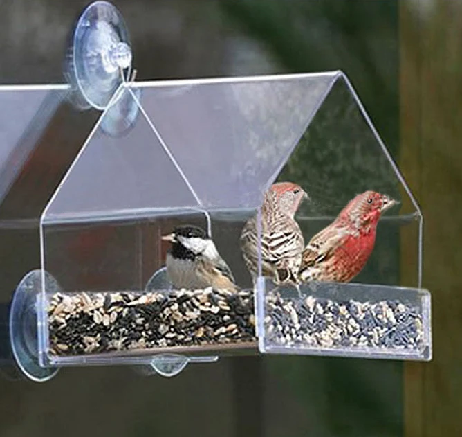 Clear Acrylic Bird Feeder Window Bird Cage Feeder Buy Acrylic Bird Feeder,Window Bird Feeder
