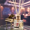 Eyun brand 100ml home perfume / car air freshener / fragrance aroma reed diffuser