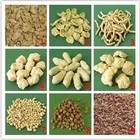 Machine Automatic Soya Protein Extruded Machine/meat Analogue Production Machine