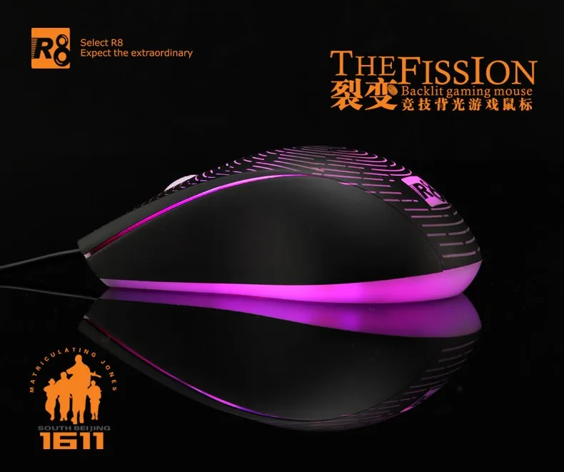R8 161104.jpg