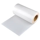 Tunsing sky blue transparent copolyamide hot melt adhesive film