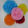 festival festive products Decorative paper pompom .