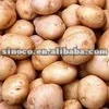 /product-detail/fresh-potato-buyers-631952184.html