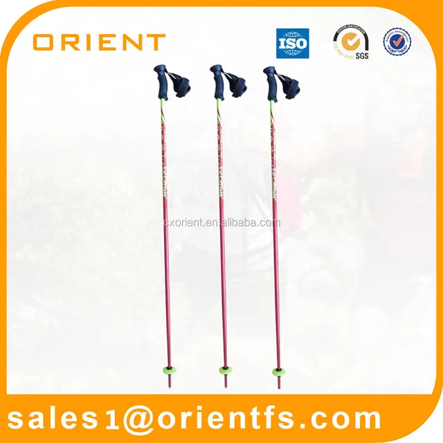 ski poles carbon