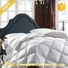 Fashion Design Comforter Wholesale Feathers Silk Duvet