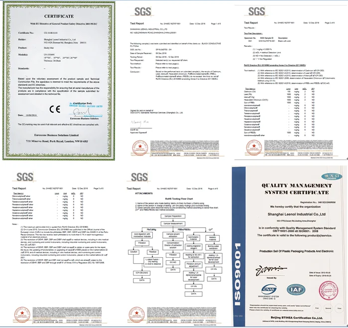 Leenol Certificate.png
