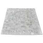 Mosaic White Raw Mother Of Pearl Sea Shell Bathroom Splash Back Tile Philippines