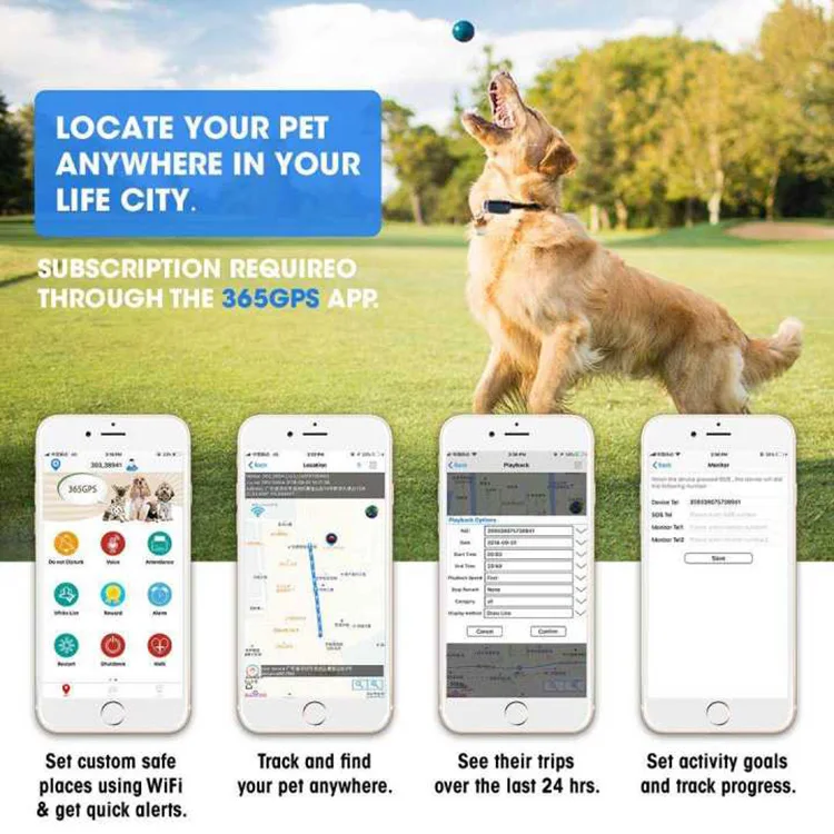  Unlock Your Pet's Health: Walmart Pet RX Phone Number for Convenient Prescription Services