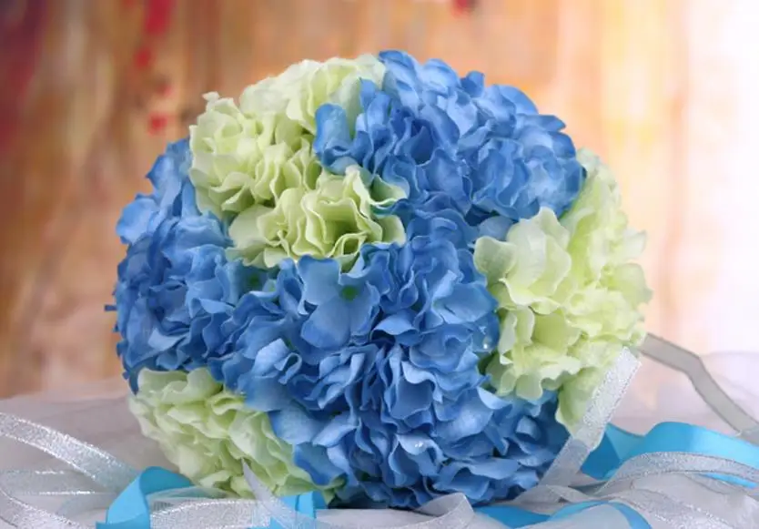 36020171205101205736