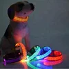 Novelty dog night light, pendant led dog, multi-functional led usb rechargeable dog collars
