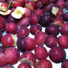 Fresh frozen iqf grade a bulk packaging iqf plum