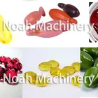 RJN-300 Automatic Fish Oil Softgel Encapsulation Filling Machine