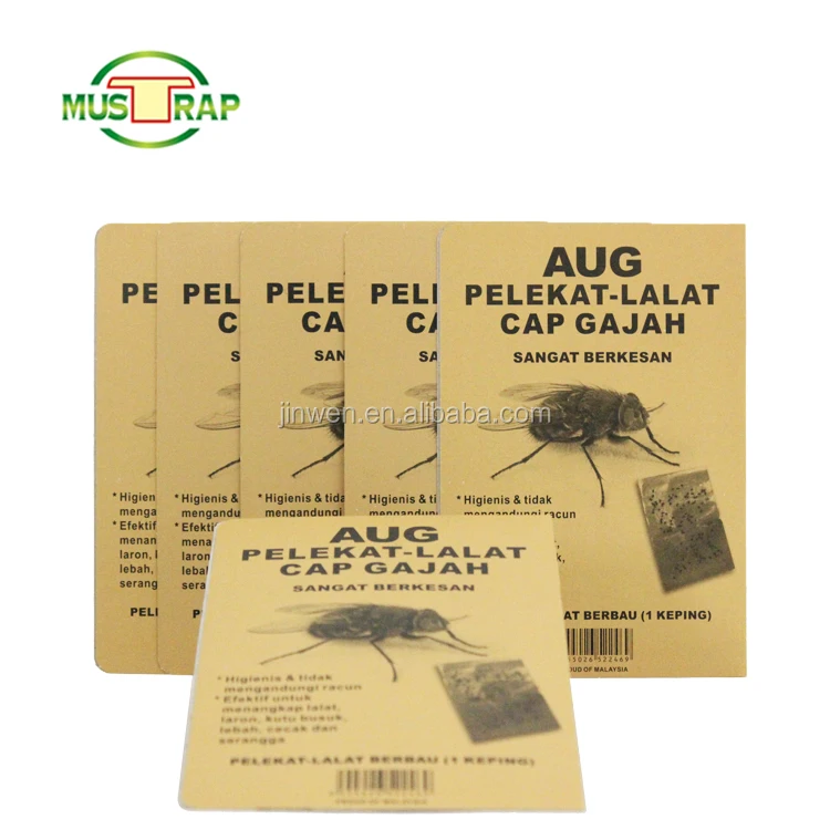 mustrap hot sale indian yellow fruit fly strong power insect