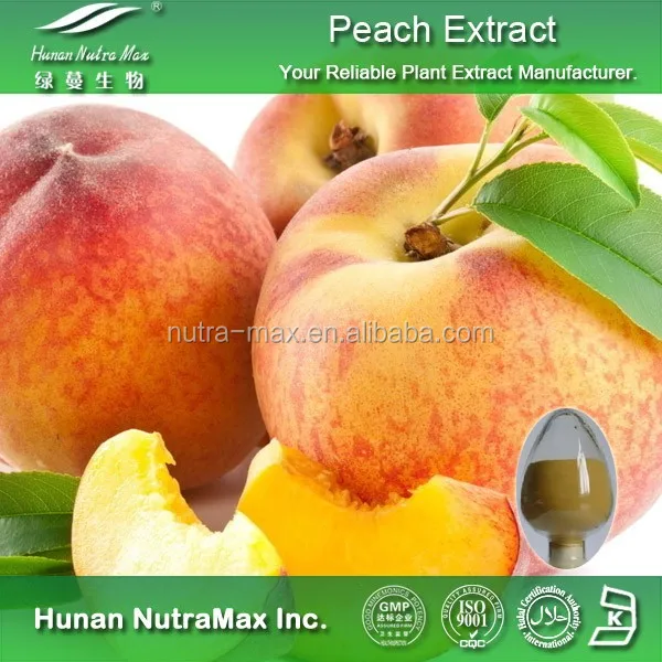 gmp factory supply peach fruit extract,peach juice powder,peach