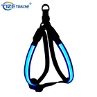 Custom Logo Small Soft Lighting Pet Set Usb Rechargeable Glow Flashlight Led Light Leash And Dog Harness In The Dark