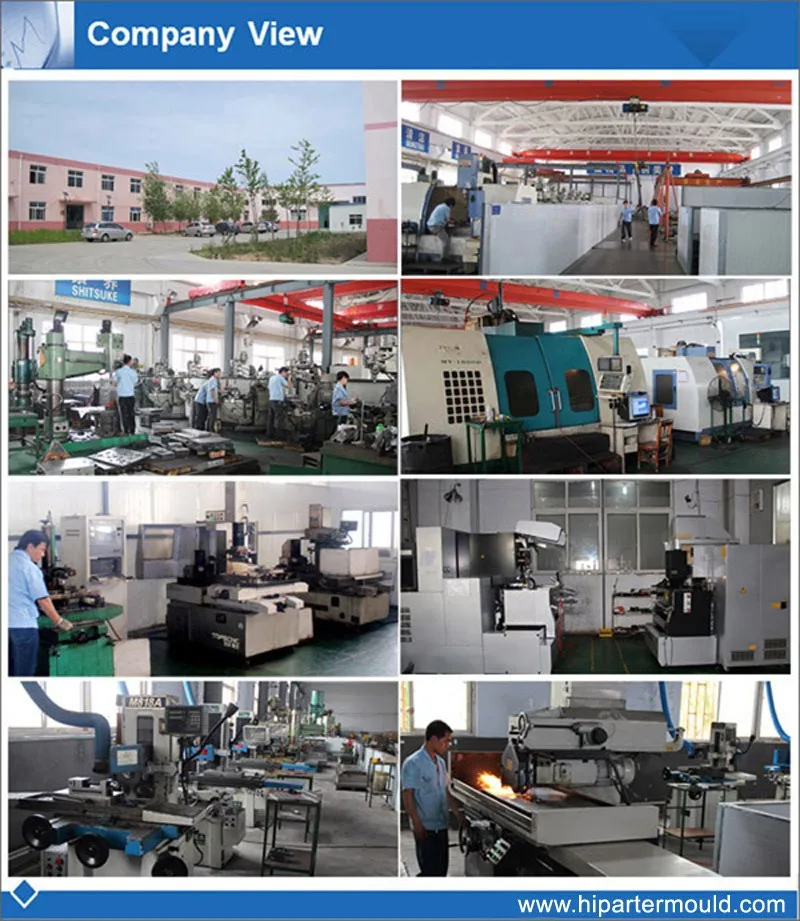Company View.jpg