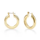 Wholesale Free Sample Fashion Silver Hoop Earrings For Women 2018