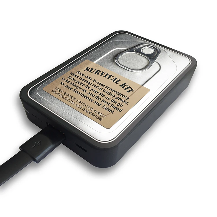 Portable usb power bank charger 10000mah mobile phone usb battery for travel wholesale price - ANKUX.COM
