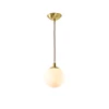/product-detail/nordic-pendant-chandelier-frosted-glass-lamp-ball-shape-hanging-light-60820760474.html