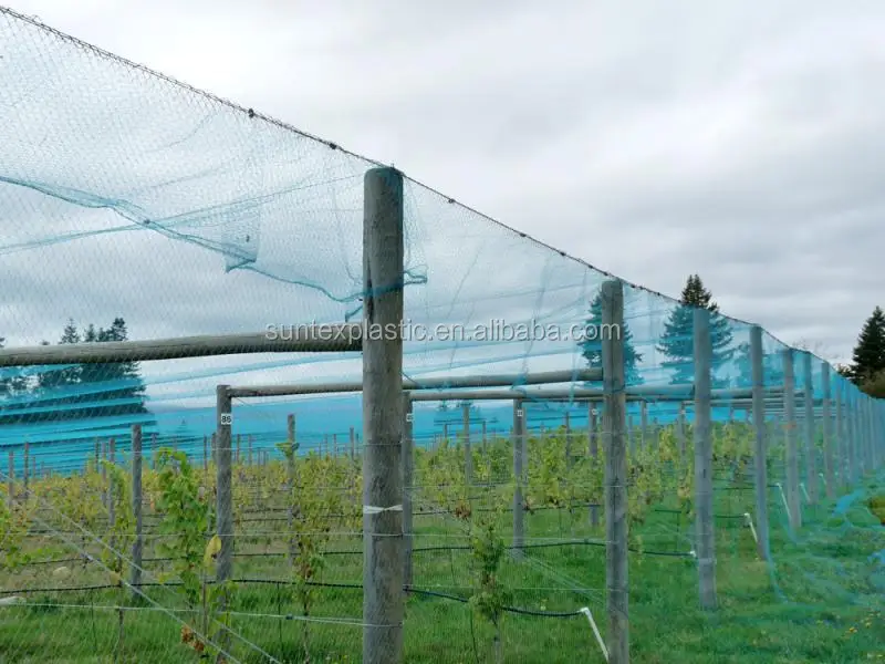 vineyard_netting_1_2.jpg