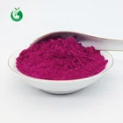 100% natural dragon fruit sweet pitaya juice powder