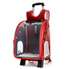 /product-detail/breathable-school-bag-shape-pet-stroller-out-portable-dog-bag-transparent-pet-backpack-62201241615.html