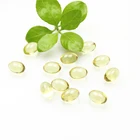 Herbal Food Supplements Blister Pack OEM Garlic Oil Capsules