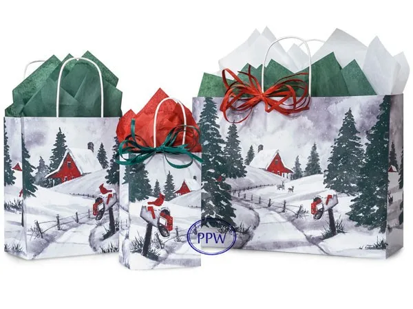 new design print fancy gift paper bag for christmas