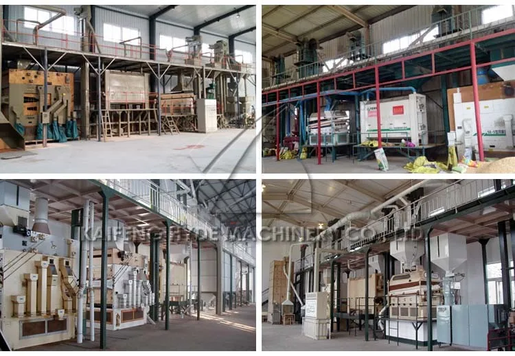 Hyde Machinery 5ZT cereal seed cleaning sorting coating equipment
