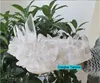 High Quality Huge Size Natural Crystal Raw Clear Quartz Cluster