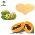 High Grade Fresh 100% Natural Papaya powder