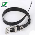 Waterproof Hot Design Fashionable Black TPU Dog Collar for Training