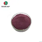 Anthocyanin Red Cabbage Powder / Purple Extract