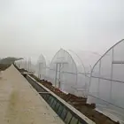 Low Cost Film Multi-span Glass Panels Greenhouse With UV Protection For Planting Tomato