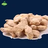Dry Whole Ginger