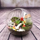 Glass Ball vase Tabletop Air Plant Display Globe Wholesale glass hanging terrarium for Home Decoration